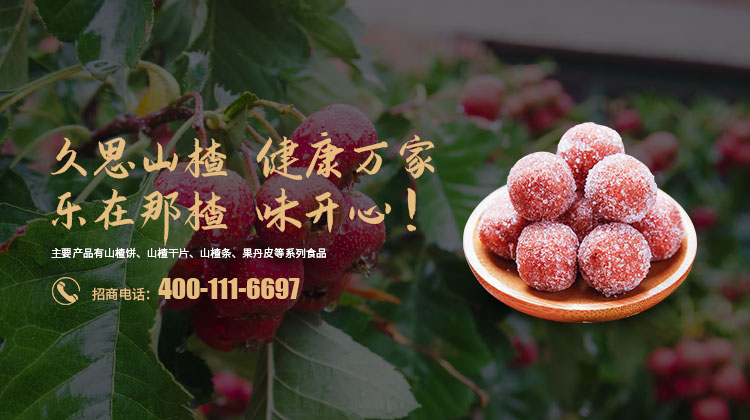 青州市苏大食品有限公司